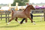 SBM_00397