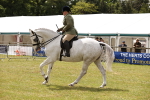 SBM_14676