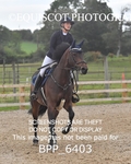 CLASS 8 Senior Newcomers/ 1.10m Open portfolio