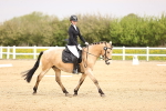 SBM_007304