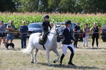 WJ6_8001