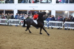 SBM_004523