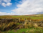 Blubberhouses Moor