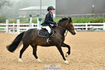 Cls 23 90cm Novice Masters portfolio