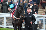 151124-Race 4-Paddock-Mister Coffey-7959