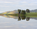 Mannus Early Light