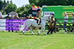 SBM_05771