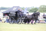 SBM_06971