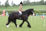 MB_M1547