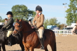 Class 302 - Ridden M&M Large Breeds portfolio