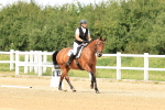 SBM_000211