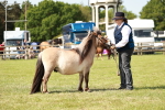 SBM_01772