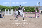 BPP_3801