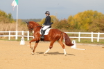 SBM_009345