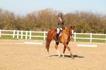 SBM_003438