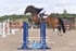 BPP_1271