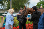 290826-Race 5-Supreme Clarets-7477