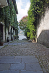 Orta