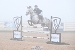 Cls 20 Pony Foxhunter and 1.10m portfolio