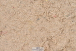 230511A-143344-00953