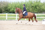 SBM_007229