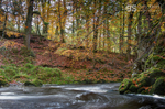 October light, Afon Clywedog