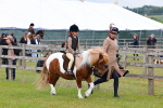 SBM_08089