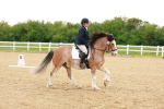 SBM_006445