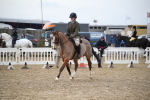 SBM_004759
