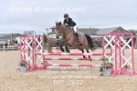 8TH APRIL 2026 - WED Senior British Show Jumping Cat 2 - MUIRMILL EC portfolio