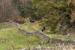 Tweed Valley-808