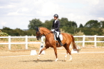 SBM_006508