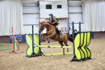 SBM_006785