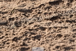 231015A-105132-07333