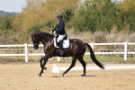 SBM_018621