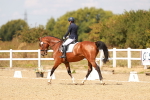 SBM_018571