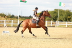 SBM_007713