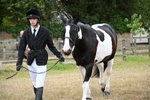WJ6_8017