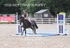 BPP_9029