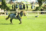 SBM_39104