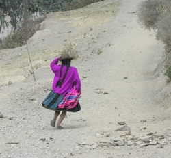 Peru UNICEF portfolio