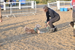 SBM_09645