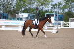 SBM_00287