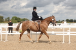 SBM_06343