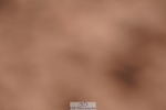 240505A-170114-07260