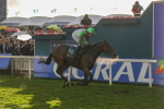 121024-Race 6-Gibside-7368