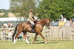 SBM_09151