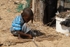 Senegal Fulani Senegal village boy making basket