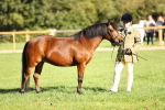 SBM_15894
