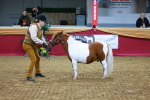 SBM_00290